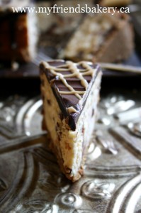 peanut_butter_chocolate_chip_cheesecake_3_mfb (1)