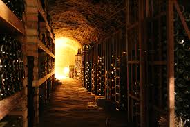 cellar, wine