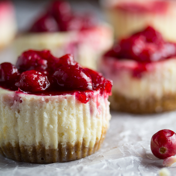 cranberry-sauce-cheesecakes cheesecakes à la sauce aux canneberges