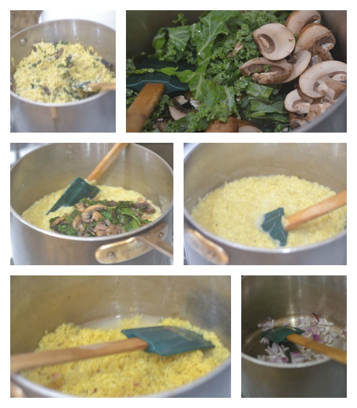 Building the Risotto