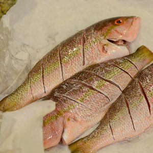 Fish raw 500