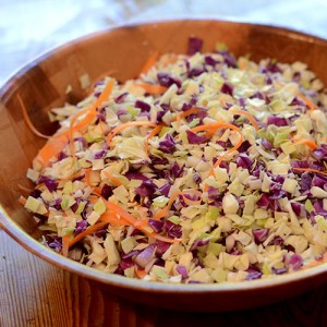 Cole-slaw-in-bowl-500-300x300
