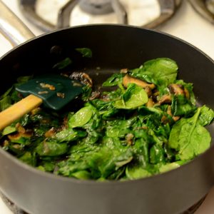 spinach wilting 500
