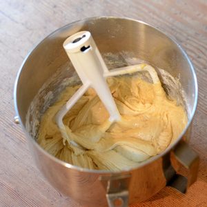 Dough mixed 500