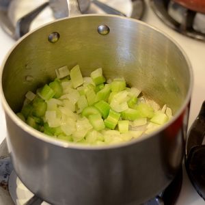 Celery & onion in pot 500