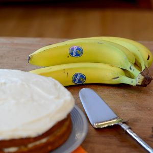 Chaquita Bananas Chaquita focus 500
