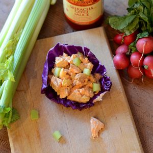 Sriracha Chicken Salad Top down 500