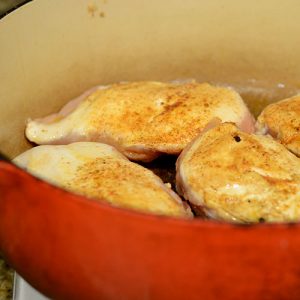 Browning Chicken Chix browning 500