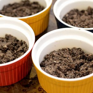 Oreo iin ramekin 500