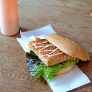 Cajun Salmon Sandwich 60 degree straight 500