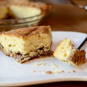 Snicker Doodle Cake Fork 500