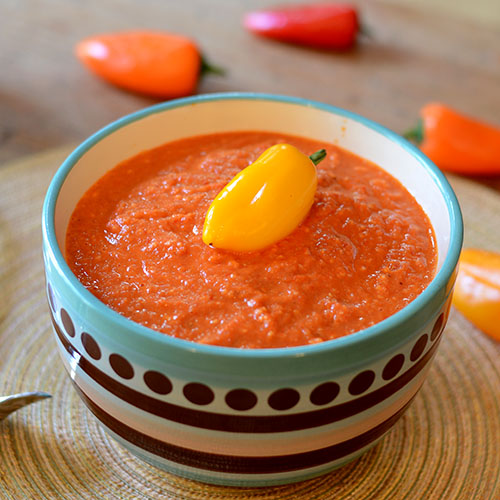 Romesco Sauce 45 degree 500