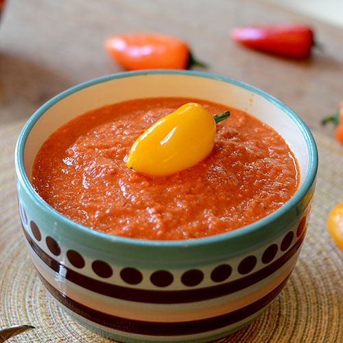 Romesco Sauce Close 500