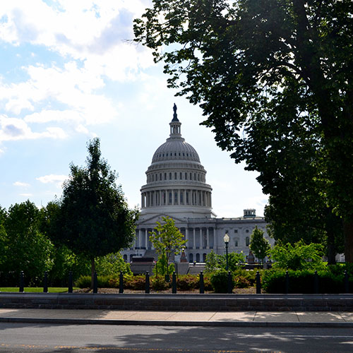 Angle-of-capital-through-trees Final angle 500