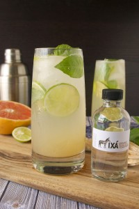 Friday Five - Mexican addition 2 Margarita