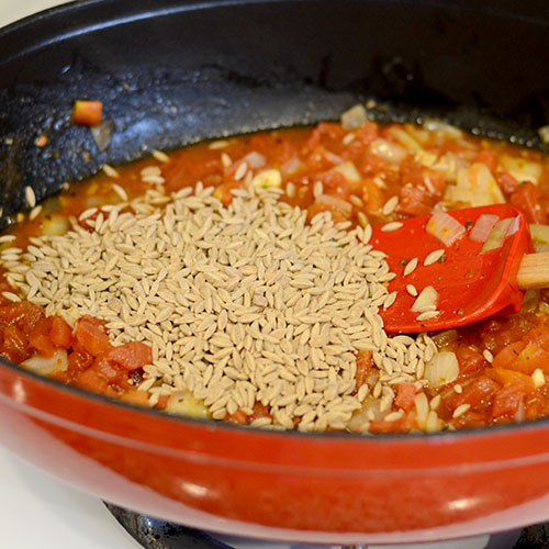 Orzo-added Orzo added 500