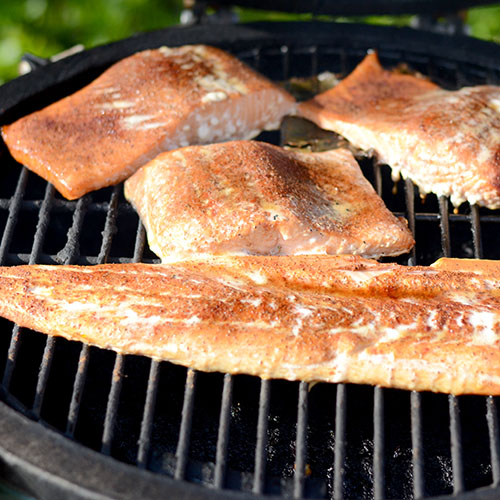 Salmon-on-smoker Smoked fish, seafood, smoking