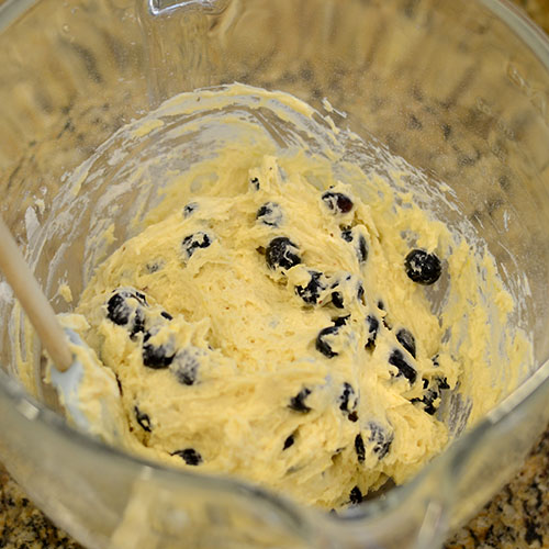 Blueberries-added Blueberries added 500