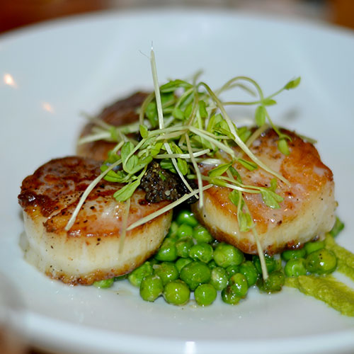 Scallops Scallops, fish, seafood, entree