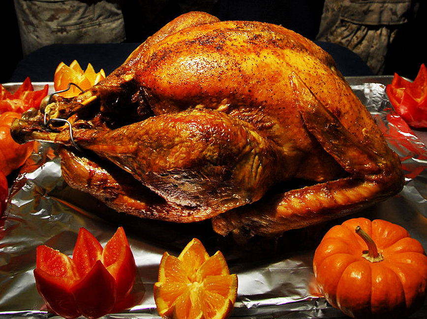 Mojo-Turkey Mojo Turkey