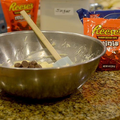 REESE's Added 