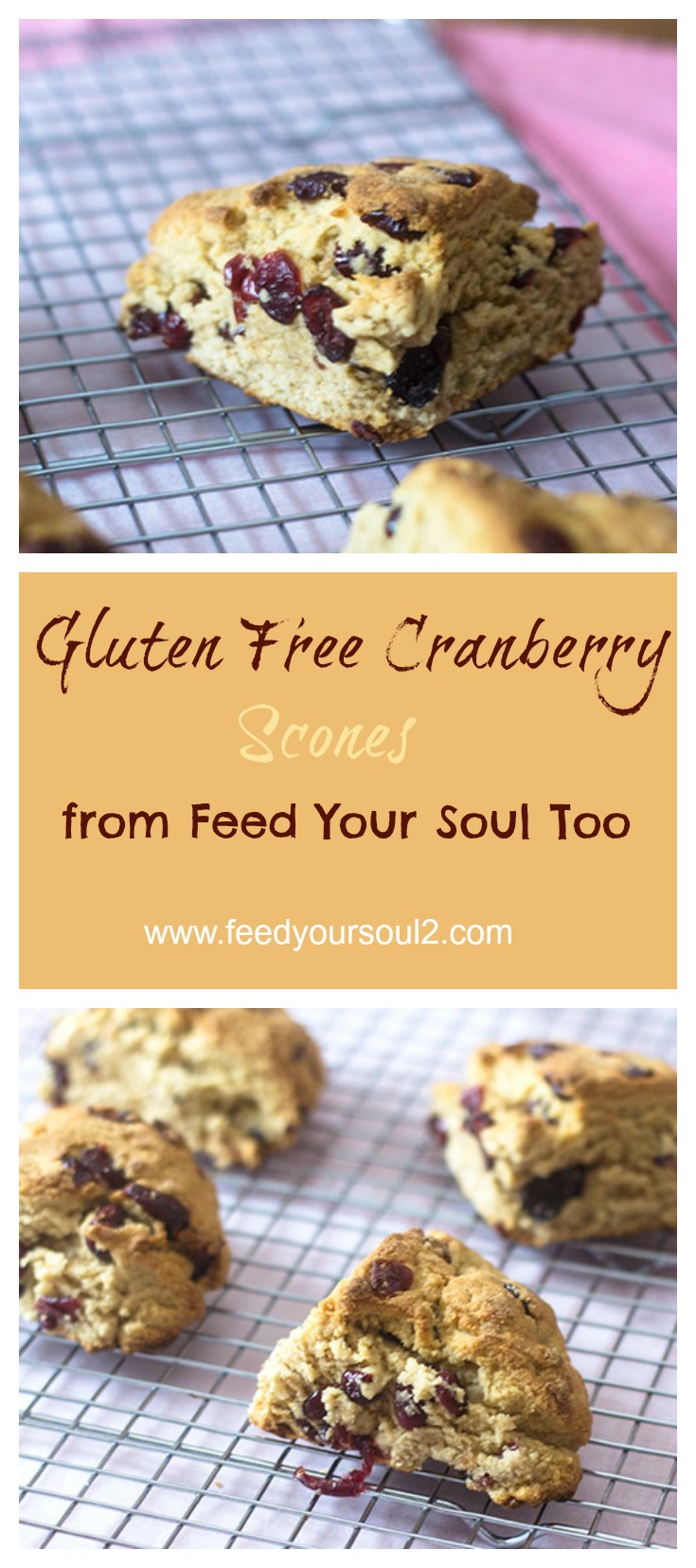 Gluten Free Vegan Cranberry Scone from Feed Your Soul Too Gluten Free Vegan Cranberry Scone #vegan #glutenfree #bread | feedyoursoul2.com