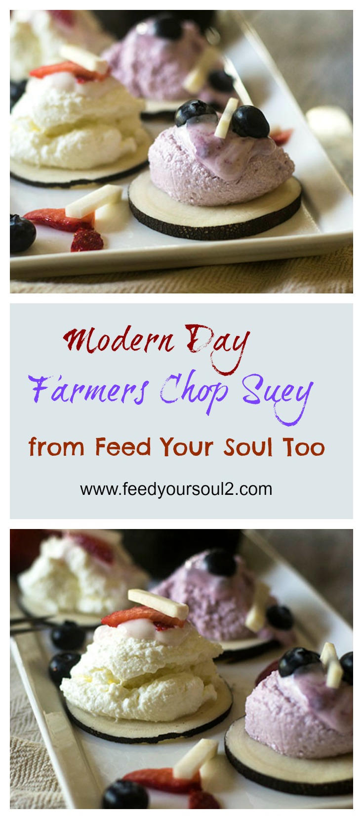 Modern Day Farmers Chop Suey #Healthy #promotio #probiotic | feedyoursoul2.com