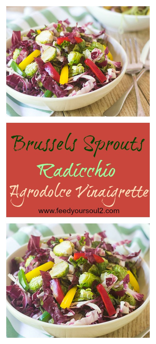 Brussels Sprouts Radicchio Agrodolce Vinaigrette from Feed Your Soul Too Brussels Sprouts Radicchio Agrodolce Vinaigrette #salad #vinaigrette #glutenfree | feedyoursoul2.com