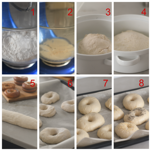 Best Steam Bagels Feed Your Soul Too